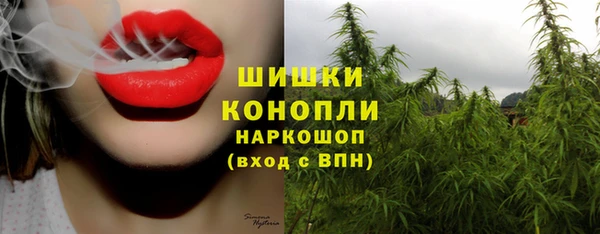 стафф Абинск