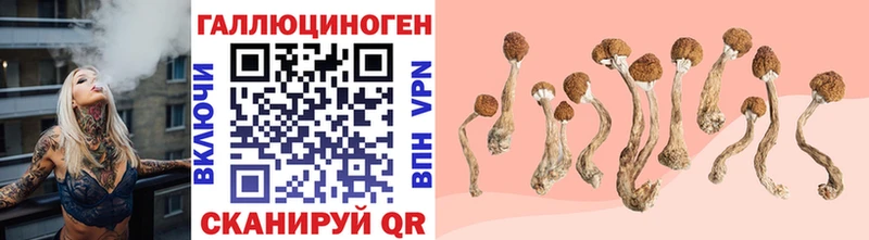 Псилоцибиновые грибы Cubensis  цена наркотик  Чебаркуль 