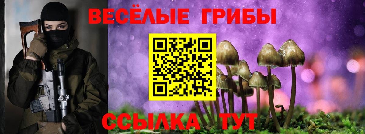 Галлюциногенные грибы мицелий Чебаркуль